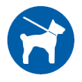 Manchester Dog Licensing